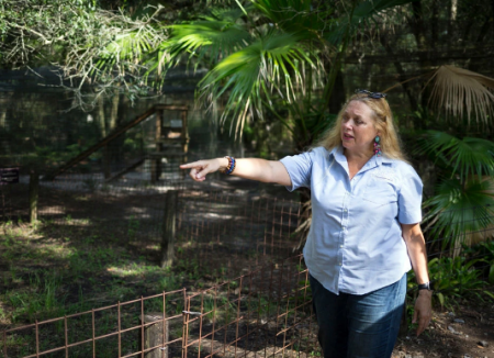 Judge Gives Carole Baskin the Tiger King's Zoo